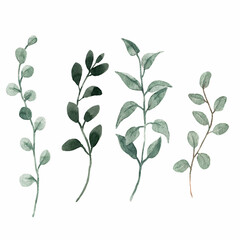 Beautiful clip art stock illustration set with hand drawn watercolor branch with leaves.