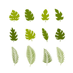 Fototapeta na wymiar Set of tropical leaves. Green leaves isolated on white background. Vector illustration. 