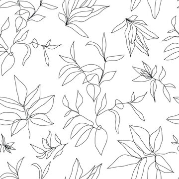 Vector floral linear seamless background, plants and leaves. One, continuous line pattern, hand drawn style. Monoline doodle.