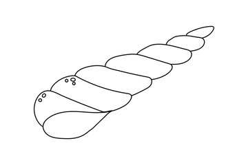 seashell flat vector cartoon illustration on white background