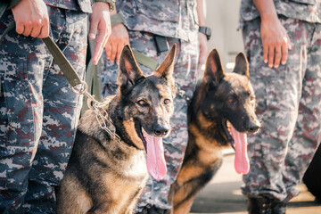 Soldiers from the  K-9 unit demonstrations to attack the enemy , the green lawns. learn the human...