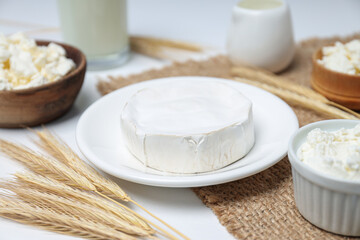 Concept of tasty food - different dairy products