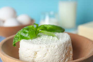 Concept of tasty food - different dairy products