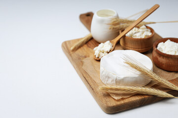 Concept of tasty food - different dairy products