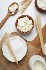 Concept of tasty food - different dairy products