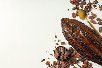 Concept of fresh and aromatic food - cacao beans