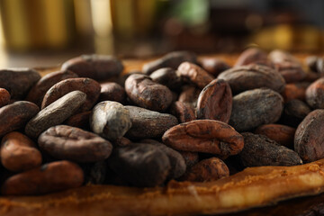 Concept of fresh and aromatic food - cacao beans