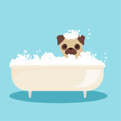pug takes a bath with bubbles in a flat style. puppy bathes in a white bath.
