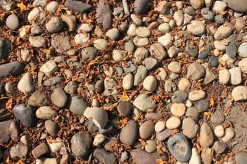 Photo of stone paths and dry leaves in an outdoor garden