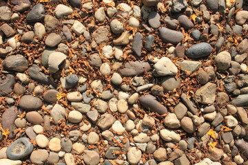 Photo of stone paths and dry leaves in an outdoor garden