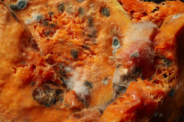 Obraz na płótnie Canvas Pumpkin with mold on whole background, close up