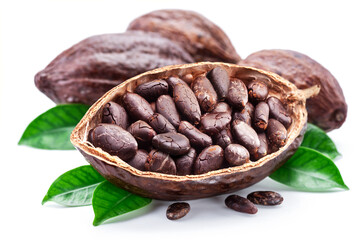 Dried cocoa beans in the half of cocoa pod isolated on white background.