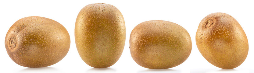 Set of four golden kiwi fruits isolated on white background.