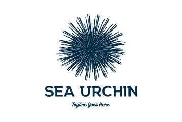Simple Vintage Ocean Sea Urchin Logo Design Icon Illustration Image Vector