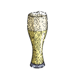 beer drink cup hand drawn. glass alcohol, lager beverage, mug foam, full pub, yellow bar beer drink cup vector sketch. isolated color illustration