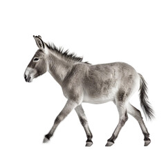 side view of animal donkey running on transparent background, Generative Ai