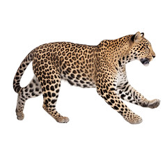 side view of animal leopard running on transparent background, Generative Ai