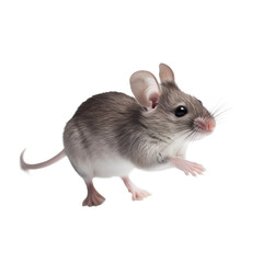 side view of animal mouse running on transparent background, Generative Ai
