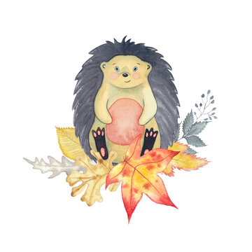 Autumn watercolour card with hedgehog and leaves of oak tree, maple, elm, fantasy herbs hand drawn isolated on white.