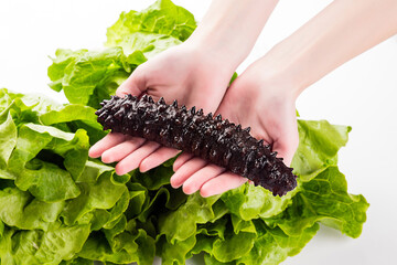 Dried Sea Cucumber Soaked with Dried Sea Cucumber