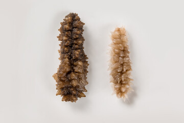 Dried Sea Cucumber Soaked with Dried Sea Cucumber