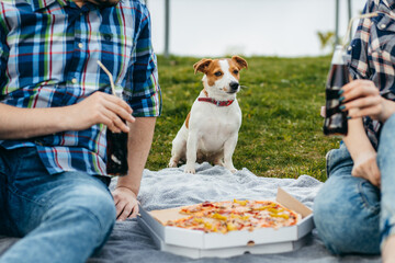 Young family with their dog sitting on the grass and eating pizza snack outdoor