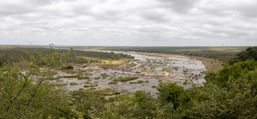 View of the Olifants river in Kruger National Park - obrazy, fototapety, plakaty