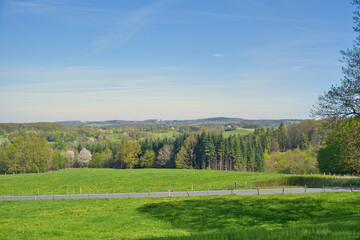 Green landscape in spring , blue sky.
nature, landscape photo