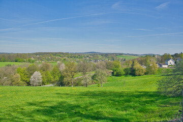 Green landscape in spring , blue sky.
nature, landscape photo