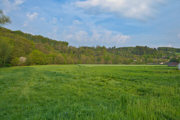 Green landscape in spring , blue sky.
nature, landscape photo