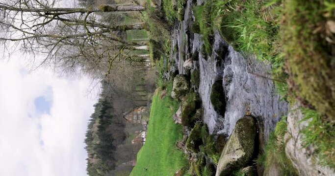 Mountain river in the Schwarzwald National Park in spring