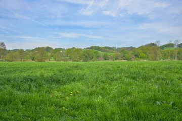 Keuken spatwand met foto Green landscape in spring , blue sky. nature, landscape photo © Vincenzo
