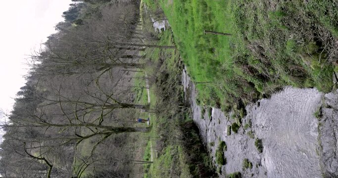 Mountain river in the Schwarzwald National Park in spring