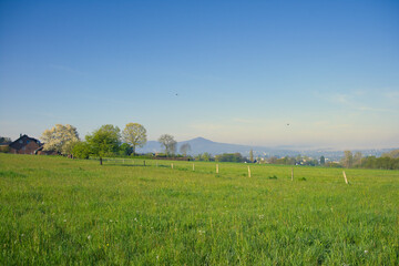 Fototapeta na wymiar Green landscape in spring , blue sky. nature, landscape photo