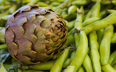 one purple artichoke, a very tasty healthy vegetable sold at the vegetable market and standing on the table with broad beans