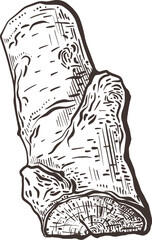 Firewood hand drawn texture. Dry sticks. Engraving illustration, vintage texture sketch