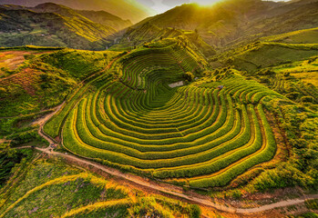 Fototapeta na wymiar Ripe rice in Mu Cang Chai terraces, Yen Bai province, Vietnam