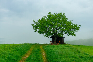 Erste Schritte auf dem Rennsteig zwischen Hörschel und Blankenstein im schönen Frühling -...