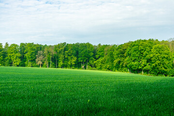 Erste Schritte auf dem Rennsteig zwischen Hörschel und Blankenstein im schönen Frühling - Thüringen - Deutschland
