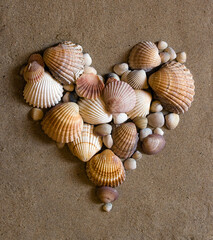 Fototapeta na wymiar shell heart on sand