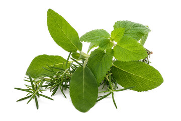 Rosemary sage and lemon balm