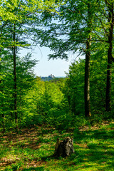 Erste Schritte auf dem Rennsteig zwischen Hörschel und Blankenstein im schönen Frühling - Thüringen - Deutschland