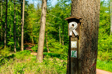 Erste Schritte auf dem Rennsteig zwischen Hörschel und Blankenstein im schönen Frühling - Thüringen - Deutschland