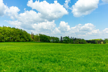 Erste Schritte auf dem Rennsteig zwischen Hörschel und Blankenstein im schönen Frühling - Thüringen - Deutschland