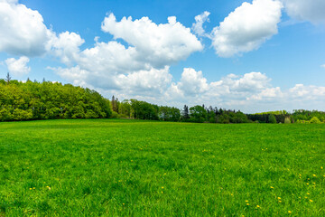 Erste Schritte auf dem Rennsteig zwischen Hörschel und Blankenstein im schönen Frühling - Thüringen - Deutschland