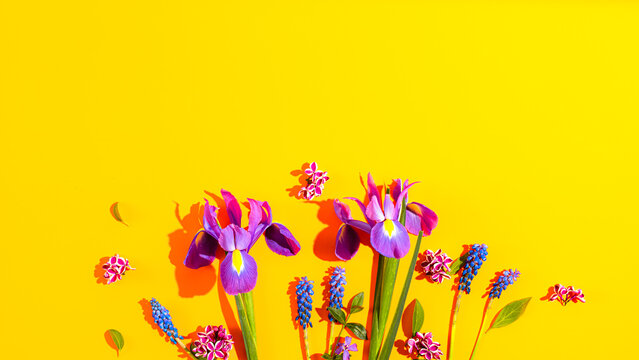 Composition of flowers on yellow background. Summer banner with flowers. Bright summer or spring cover. Top view, text space 