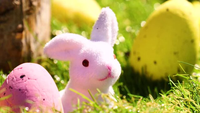 Happy Easter season with spring and cute toy rabbit , yellow and pink eggs. Easter egg hunt in the garden. Beautiful isolated green grass and blurred colorful background.