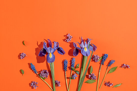 Composition of flowers on orange background. Summer banner with flowers. Top view, text space 