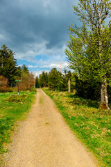 Fototapeta premium Erste Schritte auf dem Rennsteig zwischen Hörschel und Blankenstein im schönen Frühling - Thüringen - Deutschland