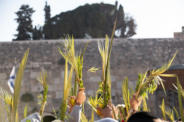 Waving the lulav on Sukkot during Jewish morning prayer at the Western Wall in Jerusalem.